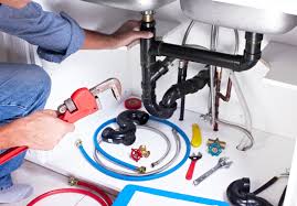 Best 24/7 Emergency Plumbing Services  in Carson City, NV